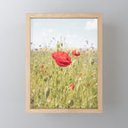 Wildflower Field | Poppy Flower in a Garden in Holland Art Print | Floral Summer Photography Mini Art Print Gallery Image 1