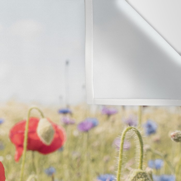 Wildflower Field | Poppy Flower in a Garden in Holland Art Print | Floral Summer Photography Wall Tapestry Gallery Image 3