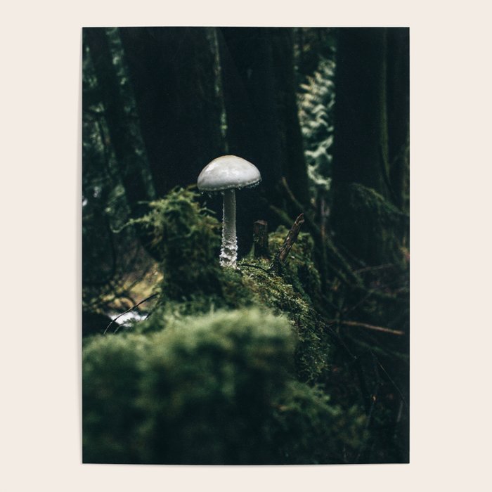 Mushroom Poster Gallery Image 4