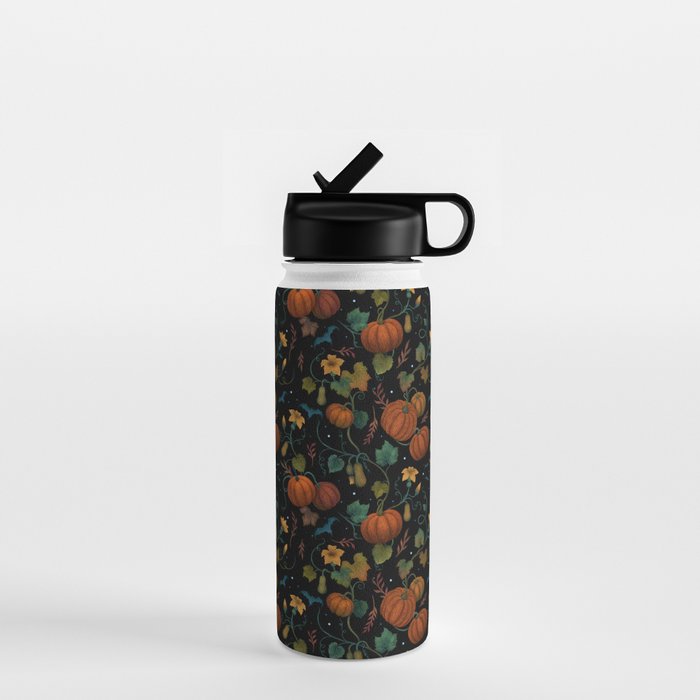 Pumpkin Rooftop Water Bottle Gallery Image 1