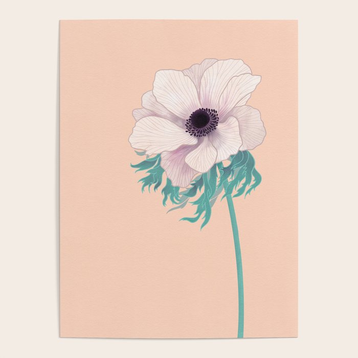 Anemone Flower Poster Gallery Image 1