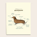 Anatomy of a Dachshund Notebook Gallery Image 4