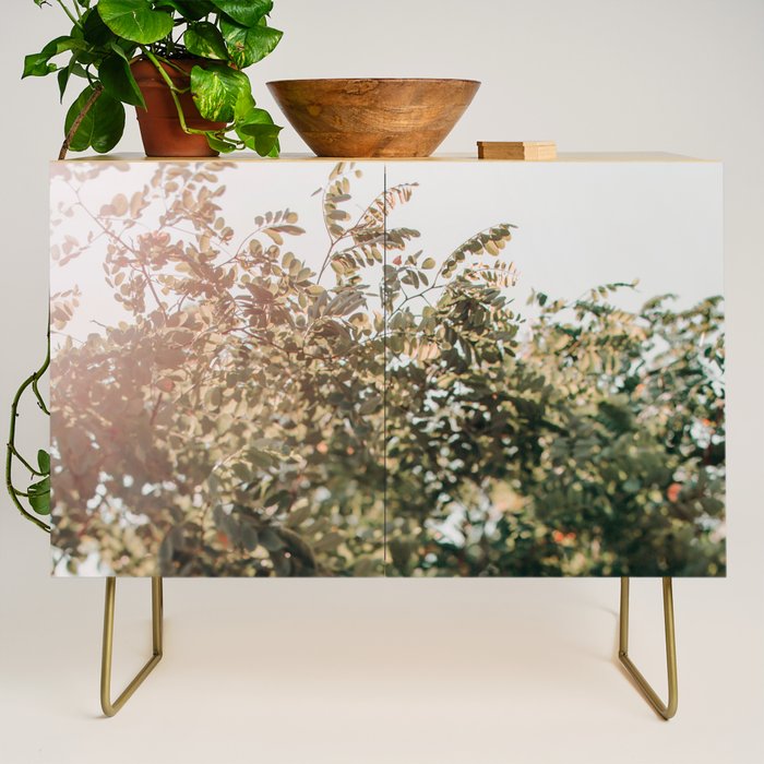 Whisperings Credenza Gallery Image 1