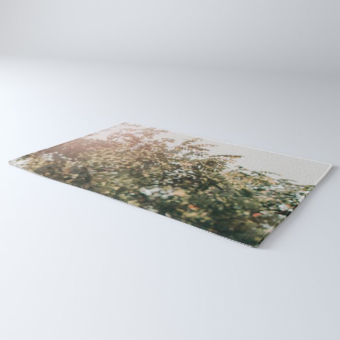 Whisperings Rug Gallery Image 3