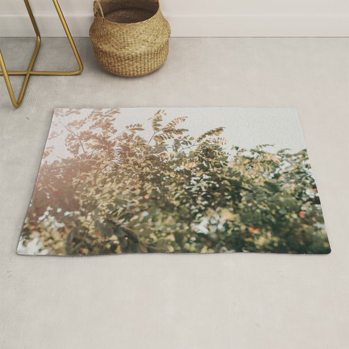 Whisperings Rug Gallery Image 1