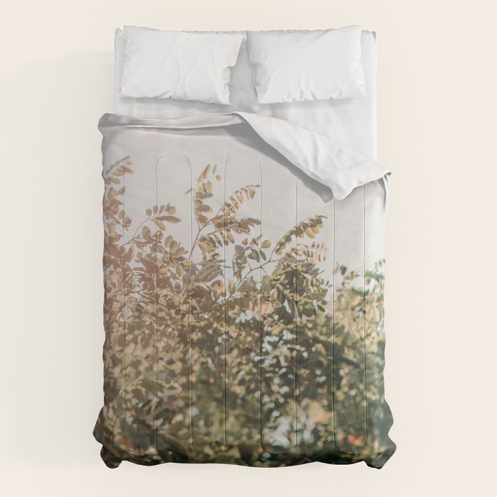 Whisperings Comforter Gallery Image 1