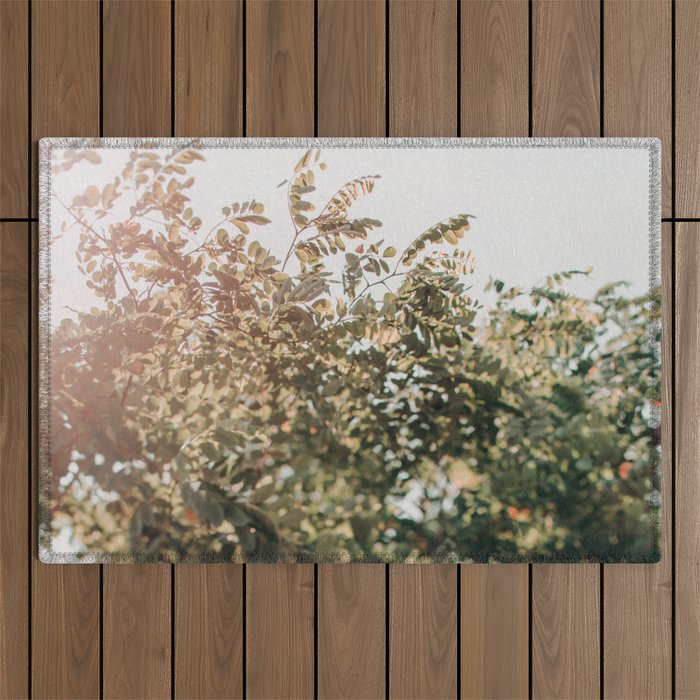 Whisperings Outdoor Rug Gallery Image 1