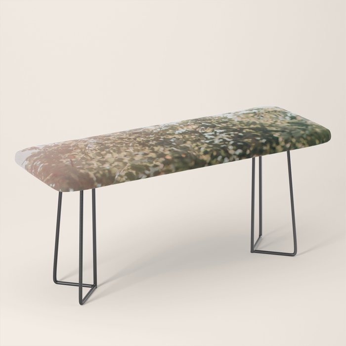 Whisperings Bench Gallery Image 1