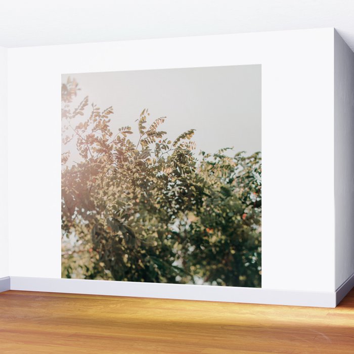 Whisperings Wall Mural Gallery Image 2