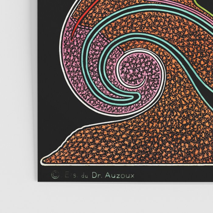 Paul Sougy: The Snail, 1955 (proceeds benefit The Nature Conservancy) Poster Gallery Image 3
