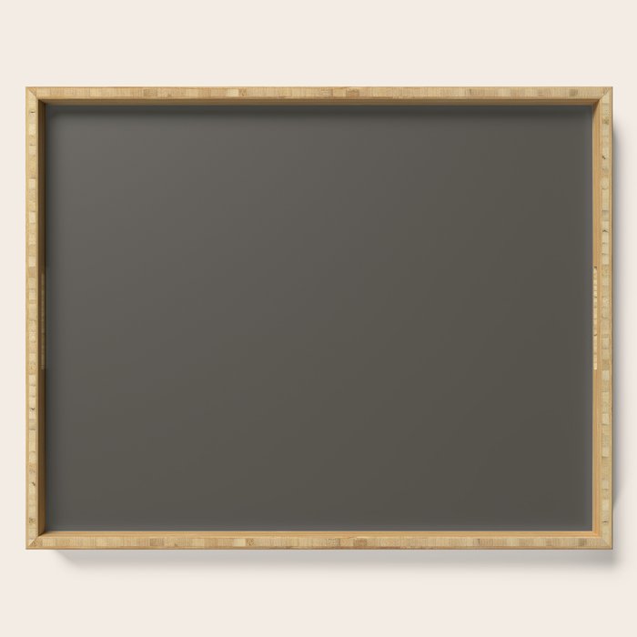 URBANE BRONZE solid color Serving Tray Gallery Image 1
