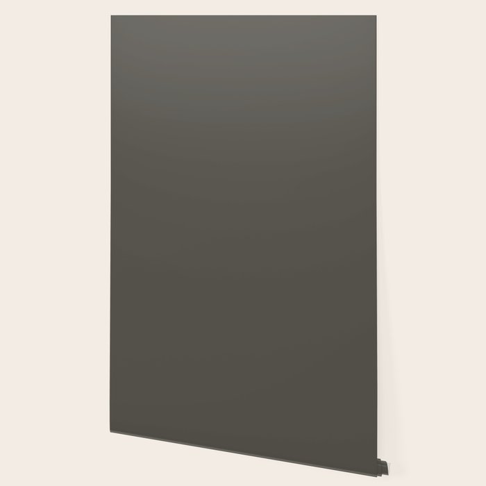 URBANE BRONZE solid color Wallpaper Gallery Image 2