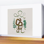 Albertus Seba Three Snakes Illustration Locupletissimi rerum naturalium thesauri accurata descriptio Wall Mural Gallery Image 2