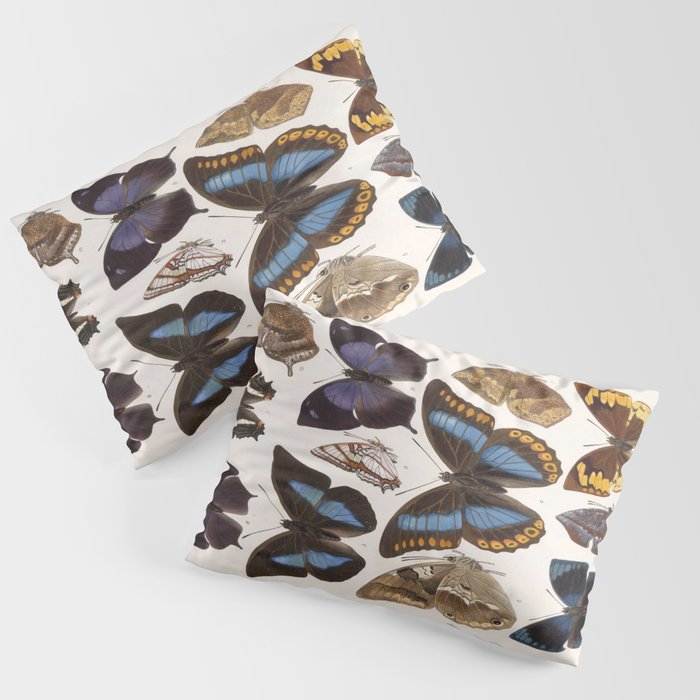 Vintage Scientific Insect Butterfly Moth Biological Hand Drawn Species Art Illustration Pillow Sham Gallery Image 3