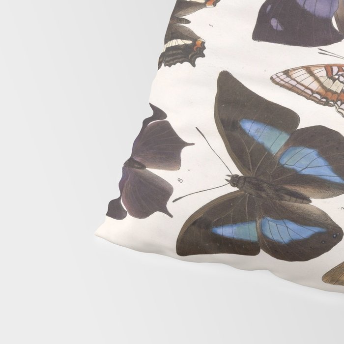 Vintage Scientific Insect Butterfly Moth Biological Hand Drawn Species Art Illustration Pillow Sham Gallery Image 4