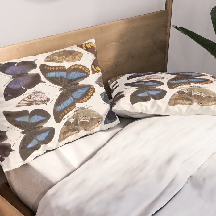 Vintage Scientific Insect Butterfly Moth Biological Hand Drawn Species Art Illustration Pillow Sham Gallery Image 2