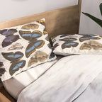 Vintage Scientific Insect Butterfly Moth Biological Hand Drawn Species Art Illustration Pillow Sham Gallery Image 2