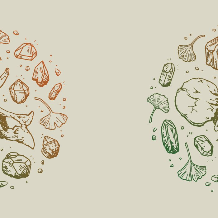 Triceratops Rocks! | Leaf Green & Pumpkin Spice Ombré Coffee Mug Gallery Image 2