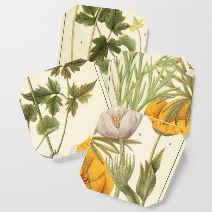 Wildflowers from "Rocky Mountain Flowers" (1914) by Edith Clements (benefitting The Nature Conservancy) Coaster Gallery Image 1