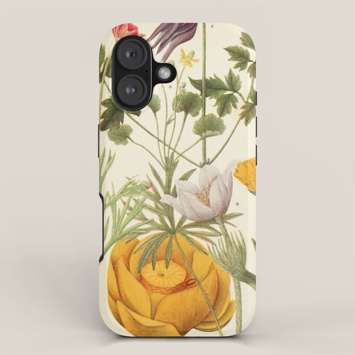 Wildflowers from "Rocky Mountain Flowers" (1914) by Edith Clements (benefitting The Nature Conservancy) iPhone Case Gallery Image 1
