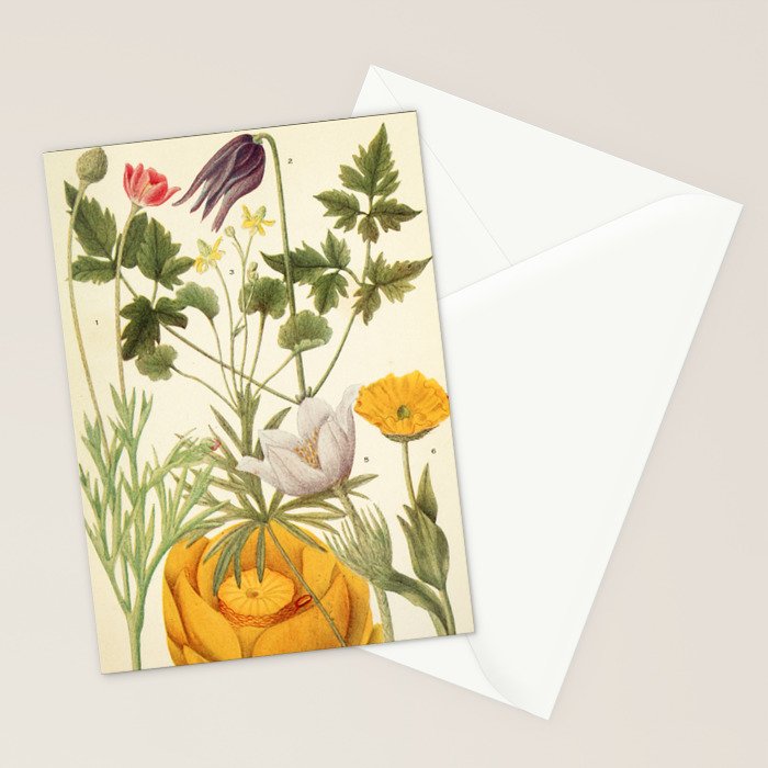 Wildflowers from "Rocky Mountain Flowers" (1914) by Edith Clements (benefitting The Nature Conservancy) Stationery Card Gallery Image 2