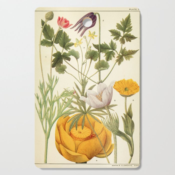 Wildflowers from "Rocky Mountain Flowers" (1914) by Edith Clements (benefitting The Nature Conservancy) Cutting Board Gallery Image 1