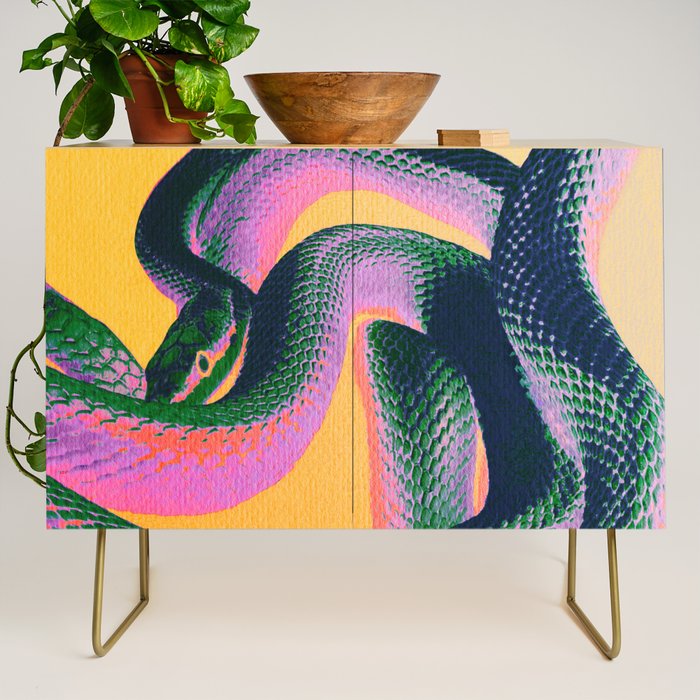 Colorful Snake Credenza Gallery Image 1