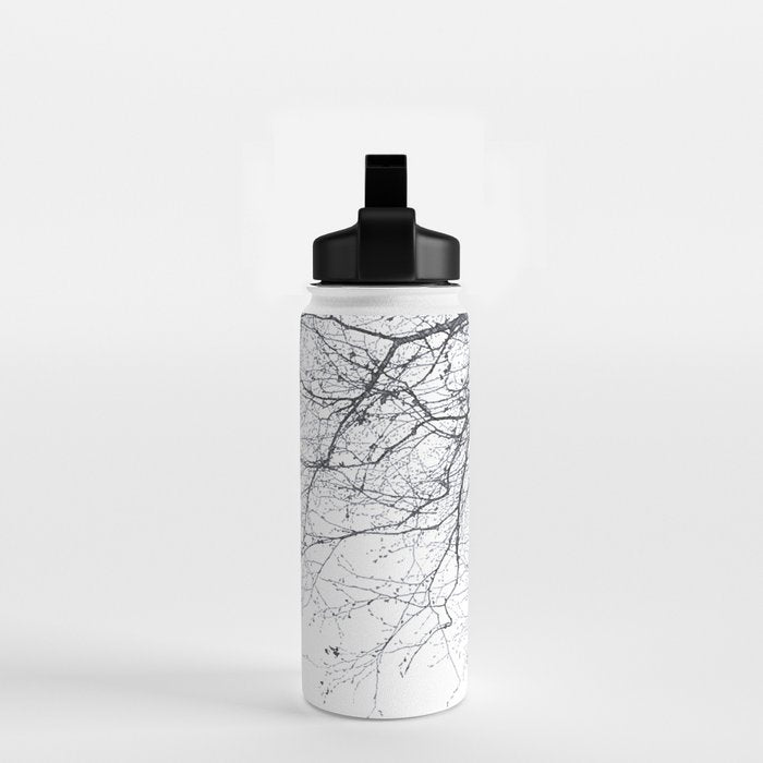 BLACK BRANCHES Water Bottle Gallery Image 2