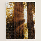 Redwood Forest Sunbeams Jigsaw Puzzle Gallery Image 1