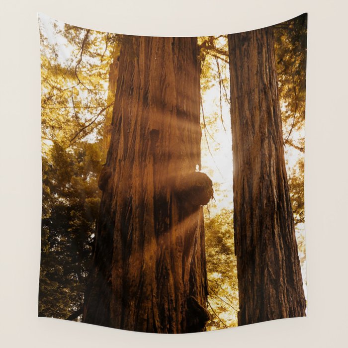 Redwood Forest Sunbeams Wall Tapestry Gallery Image 4