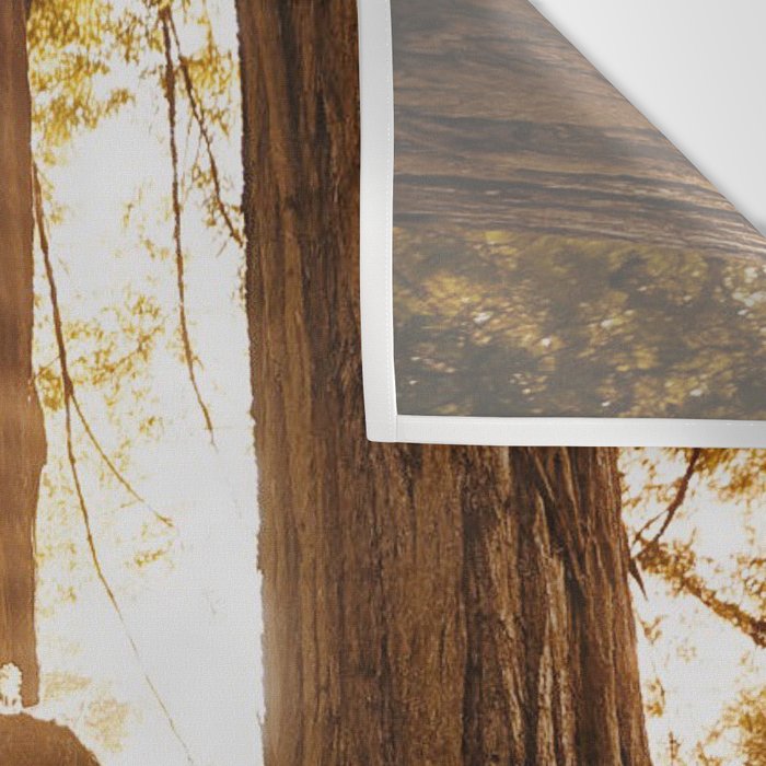 Redwood Forest Sunbeams Wall Tapestry Gallery Image 3