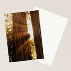 Redwood Forest Sunbeams Stationery Card Gallery Image 2