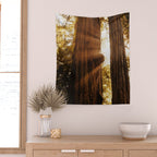 Redwood Forest Sunbeams Wall Tapestry Gallery Image 2