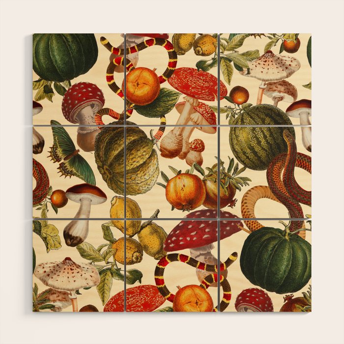 Mysterious Mushroom Forest  Wood Wall Art Gallery Image 1