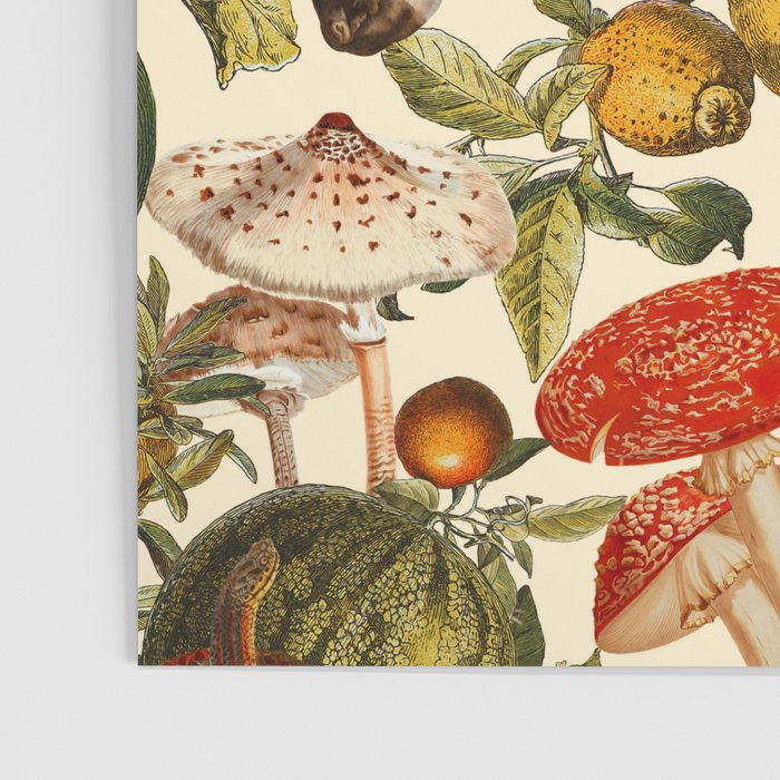 Mysterious Mushroom Forest  Poster Gallery Image 3