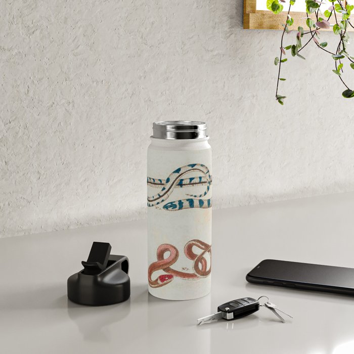 Seba Albertus Snakes With Plants  Water Bottle Gallery Image 4