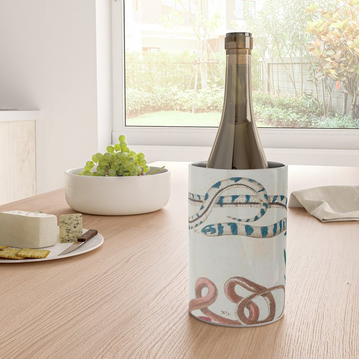Seba Albertus Snakes With Plants  Wine Chiller Gallery Image 4