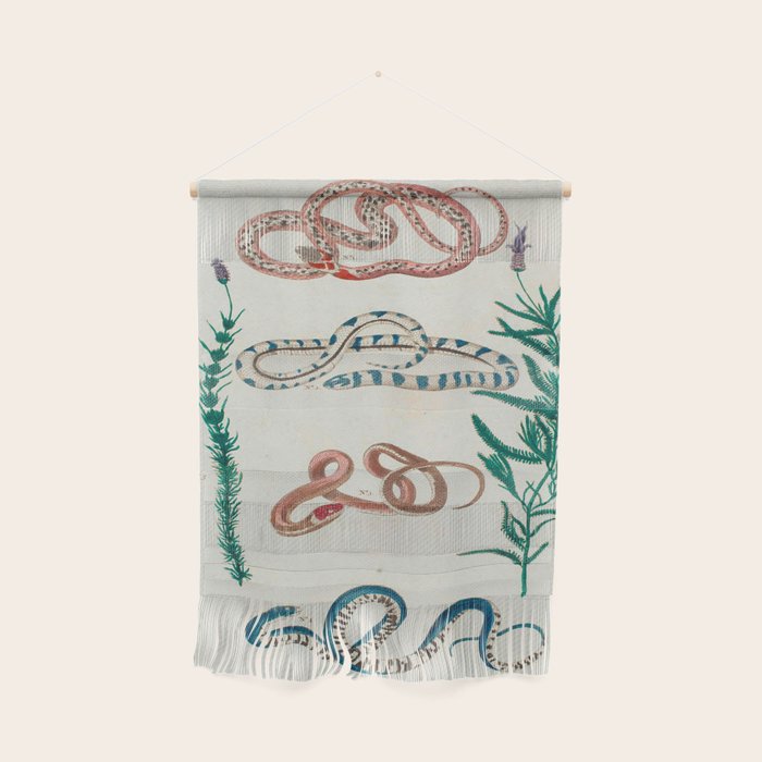 Seba Albertus Snakes With Plants  Wall Hanging Gallery Image 1