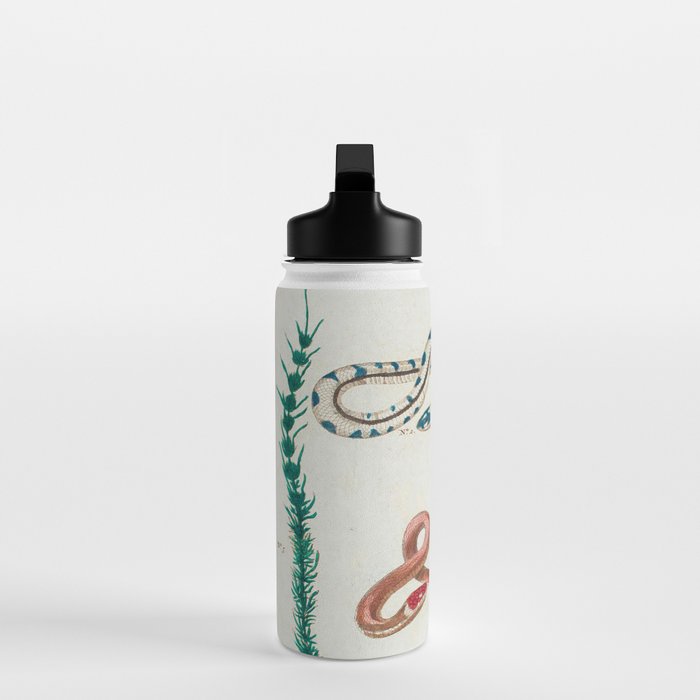 Seba Albertus Snakes With Plants  Water Bottle Gallery Image 3