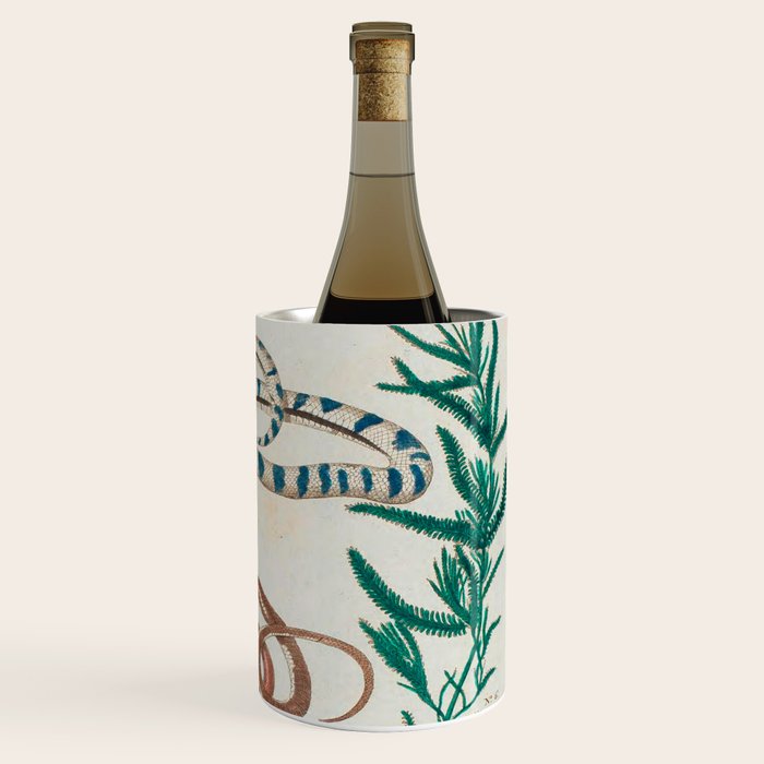 Seba Albertus Snakes With Plants  Wine Chiller Gallery Image 3