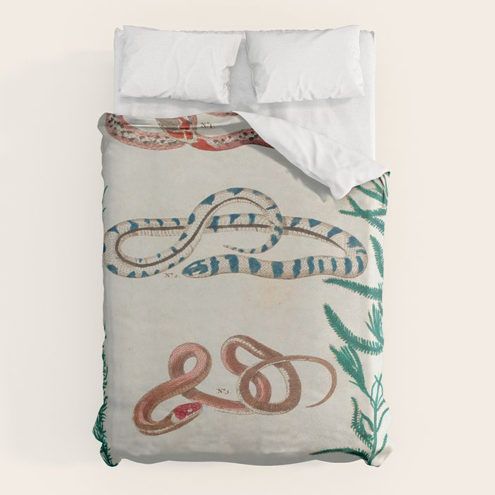 Seba Albertus Snakes With Plants  Duvet Cover Gallery Image 6
