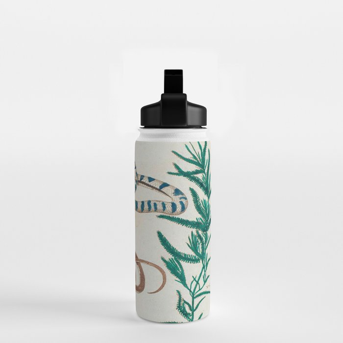 Seba Albertus Snakes With Plants  Water Bottle Gallery Image 2