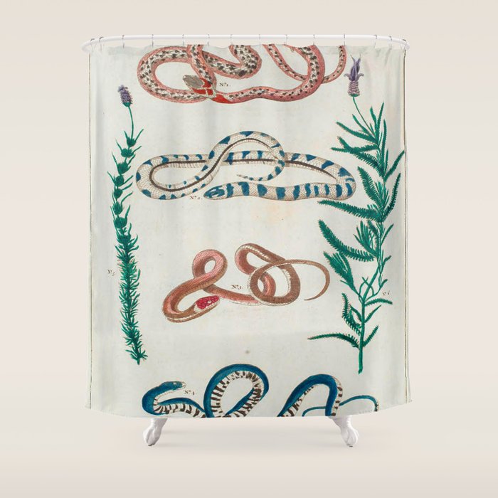 Seba Albertus Snakes With Plants  Shower Curtain Gallery Image 1