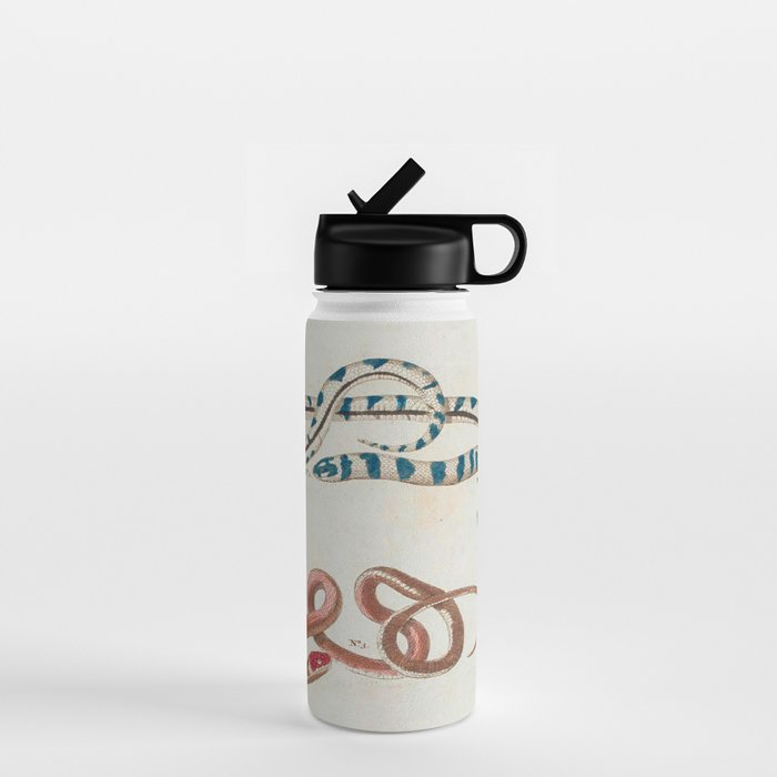 Seba Albertus Snakes With Plants  Water Bottle Gallery Image 1