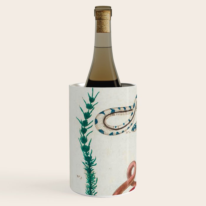 Seba Albertus Snakes With Plants  Wine Chiller Gallery Image 2