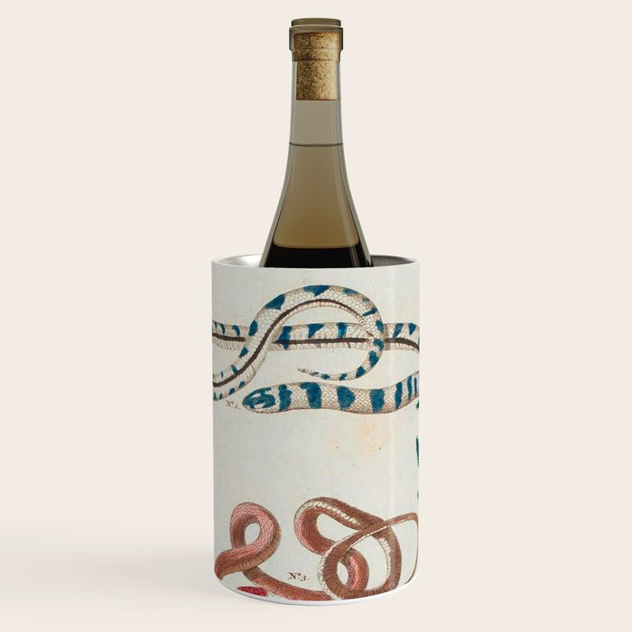 Seba Albertus Snakes With Plants  Wine Chiller Gallery Image 1