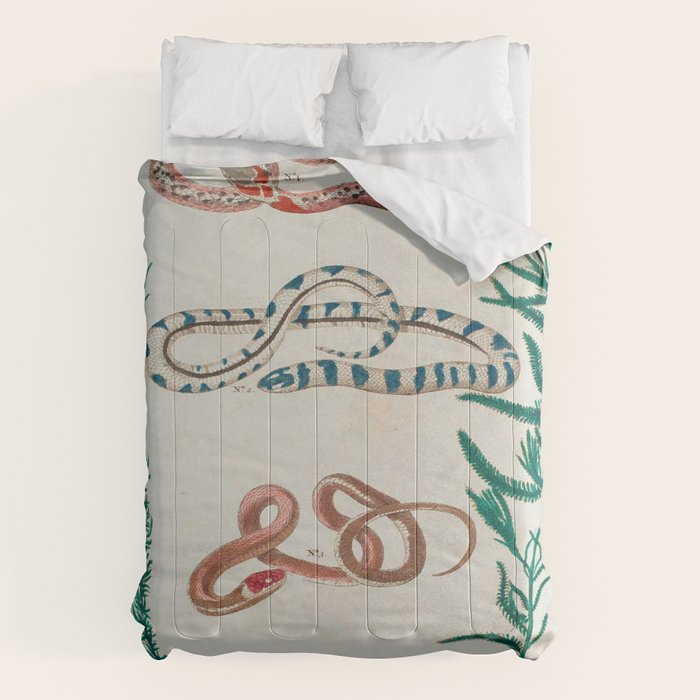 Seba Albertus Snakes With Plants  Comforter Gallery Image 6
