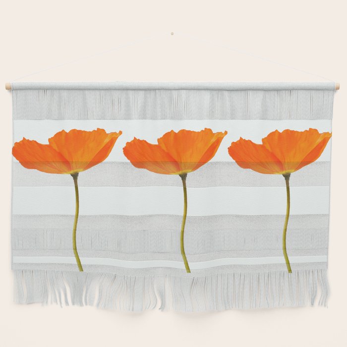 Three Orange Poppy Flowers White Background  Wall Hanging Gallery Image 1