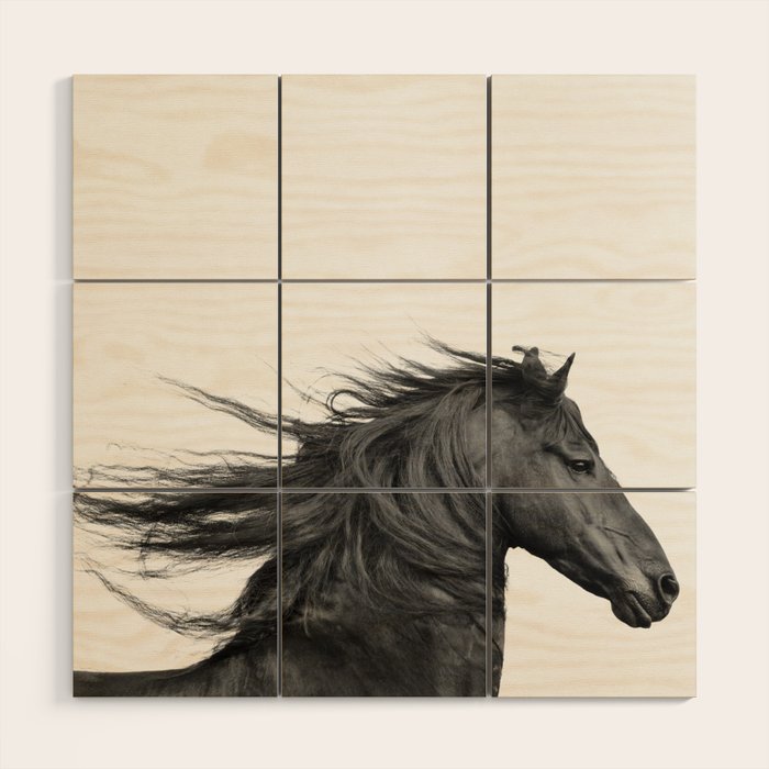 Wild Horse, Black and White Photography Wood Wall Art Gallery Image 3