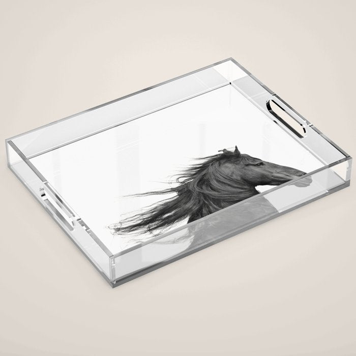 Wild Horse, Black and White Photography Acrylic Tray Gallery Image 1